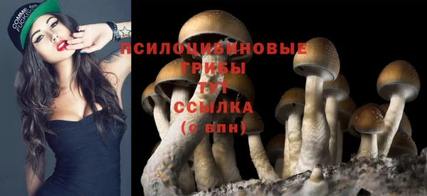 метамфетамин Зеленодольск