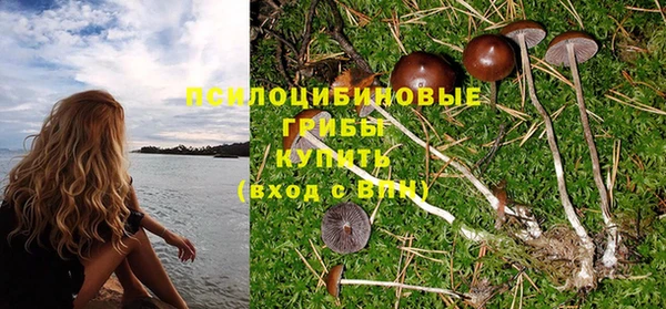 ешки Зеленокумск